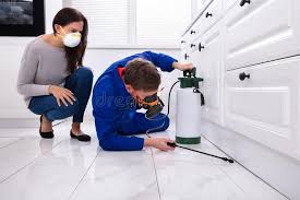 Best Emergency Pest Control  in Belcourt, ND